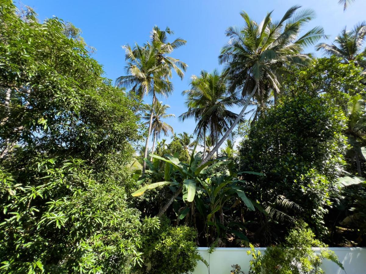 Villa Ema Galle Dış mekan fotoğraf