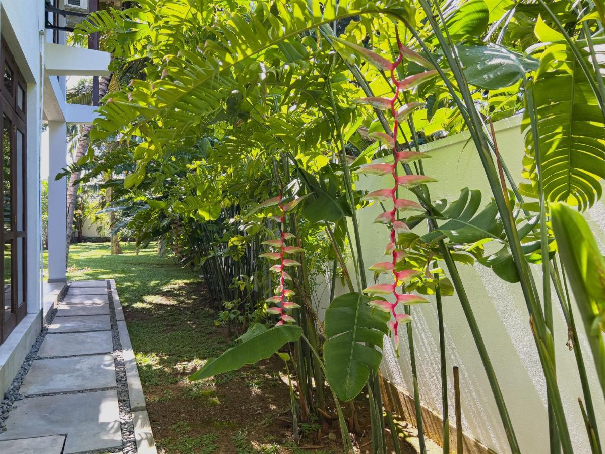 Villa Ema Galle Dış mekan fotoğraf