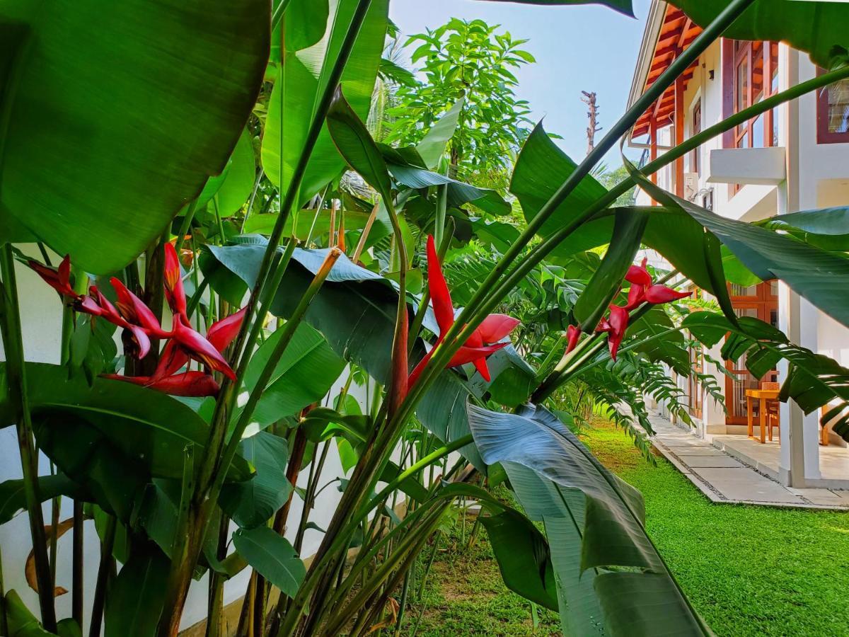 Villa Ema Galle Dış mekan fotoğraf